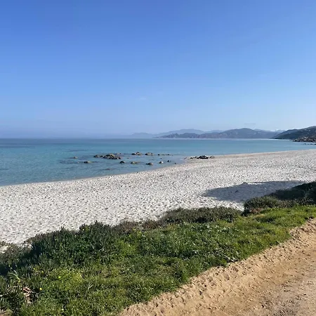Le Petra Paoli - Appt Climatisé Avec Piscine