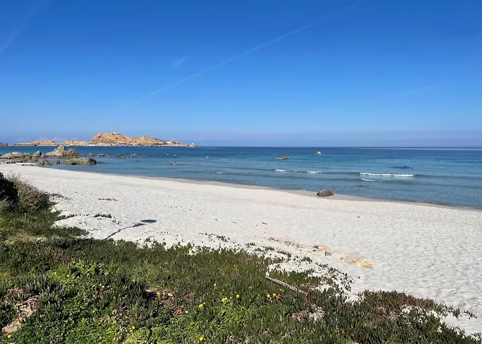 Le Petra Paoli - Appt Climatise Avec Piscine アパート LʼÎle-Rousse